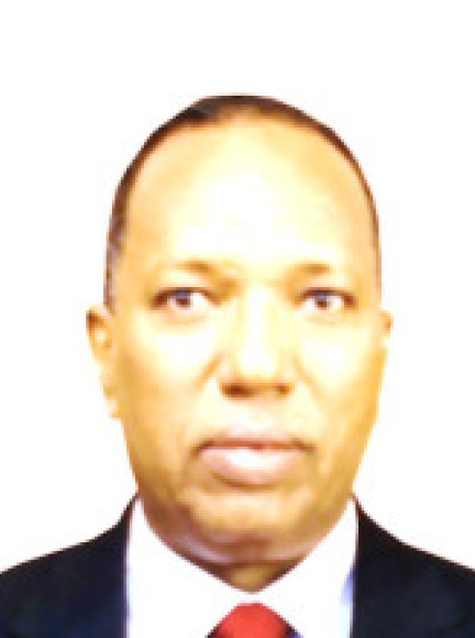 elmi nur